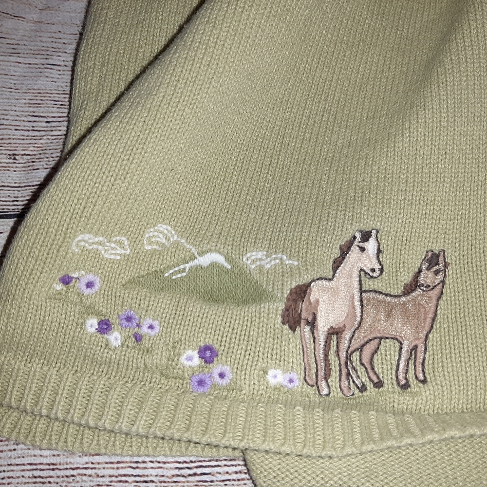 Gymboree Light Green Sweater with 🐎 - Picture 3 of 9